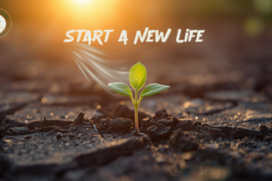 Start a New Life